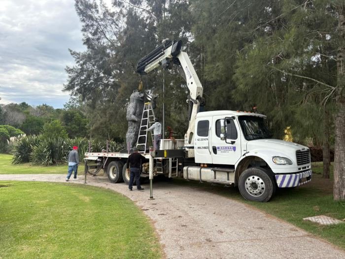 Camión grúa Rosano con pluma hidráulica realizando servicio en predio privado